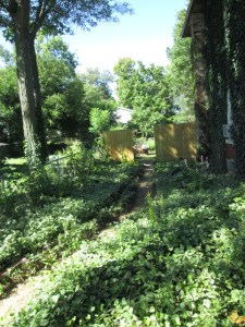 Half of the path I removed bricks from.