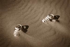 Photo: Ashcreekimages.com