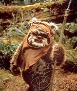 I shot Ewoks.