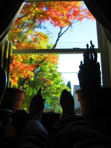 The View Out the Window