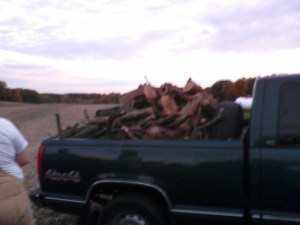 I took this picture of our truckload of wood with my phone.