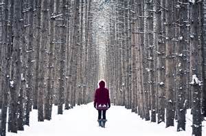 Not Out of the Woods