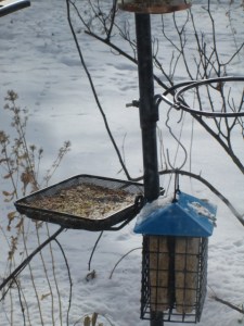 Bird feeder tray.