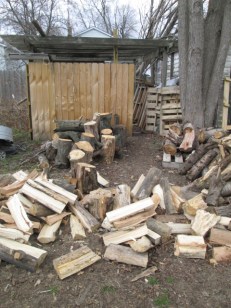 The wood EJ must split. He split quite a bit of it today.