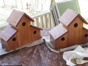 Putting varnish on my bird houses.