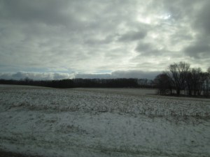 A snow-dusted field