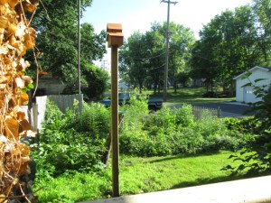 Sitting on the front porch watching the wren at this house. 