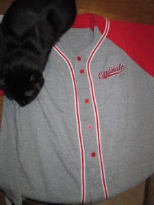 My cool Cardinal shirt...and Luke.