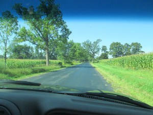 Driving to get more wood