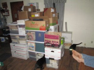 These boxes are all filled with books.