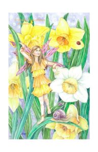Fairy Daffodil