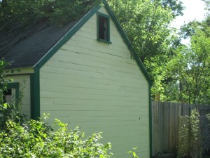 Blackbirds swore at me as I was painting here 