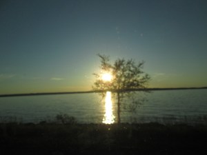 Beautiful Emerald City snuggles up to this bay