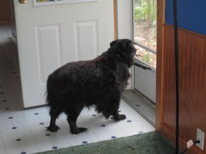 Danny watching the guy install the Internet.