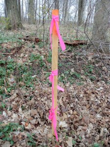 Survey stake Photo from: thedeliberateagrarian.com