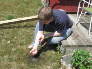 JJ lighting bottle rockets.