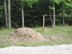 Potato stones....and potatoes