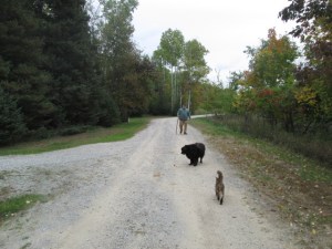 A magical trip to the mail box.