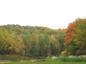 Oct. 13, 2015 Morning 001