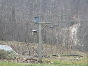 The feeders hung on the big post.