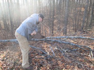 EJ cutting a branch for a chanukiah