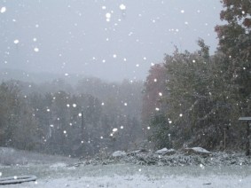 Life in a Snow Globe