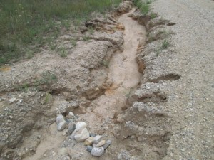 Erosion caused deep gullies along our driveway last summer.