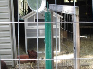 Metal post to divide the outside pen.