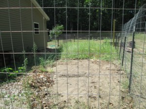 The fence I installed.