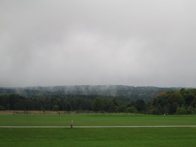 Pillars of mist rising from the trees.