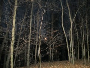 The moon was so much bigger and brighter than this photo.