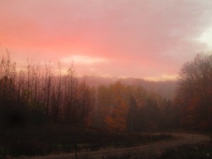 A beautiful foggy sunrise