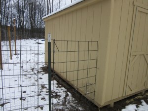 This is the fence/gate I built to separate the duck and chicken pens.
