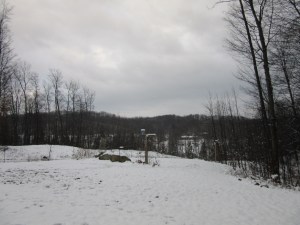 We got several inches of snow yesterday. It warmed up a little today so it melted a little. This photo is from today.