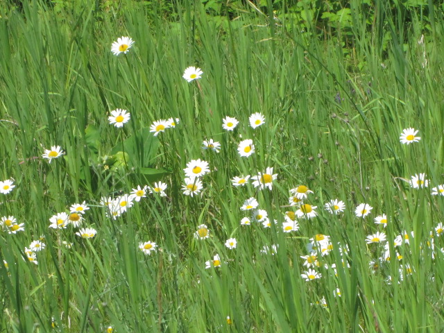 Photo by Teri Jensen