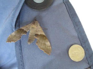 Photo by Teri Jensen