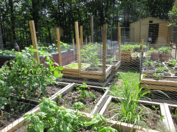 Photo by Teri Jensen