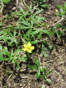 Photo by Teri Jensen