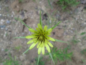 Photo by Teri Jensen