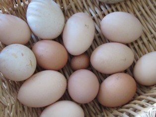 Photo by Teri Jensen