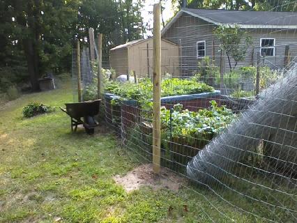 downsized_0824180956