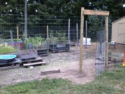 downsized_0826181658